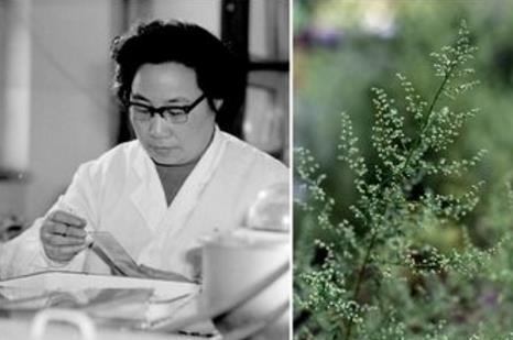 3000萬病例歸零&mdash;&mdash;中國獲世衛組織&ldquo;無瘧疾國家&rdquo;認證 全球抗瘧形勢依然嚴峻