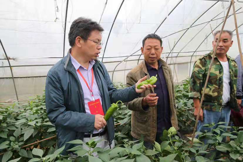 &ldquo;組團(tuán)式&rdquo;招賢納士 重慶打開鄉(xiāng)村振興引才新通道