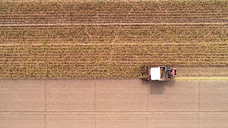山城重慶&ldquo;巴掌田&rdquo;里的&ldquo;穩糧經&rdquo;
