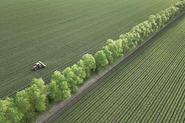 &ldquo;糧倉(cāng)&rdquo;黑龍江：黑土地加強(qiáng)保護(hù)　農(nóng)田提檔升級(jí)